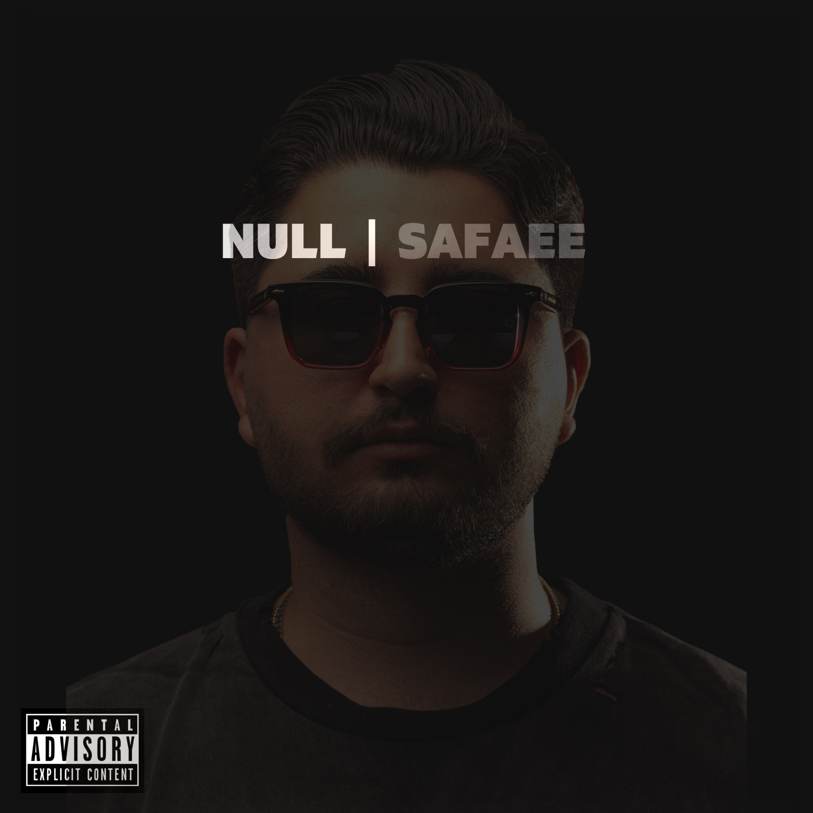 Null Artwork Cover